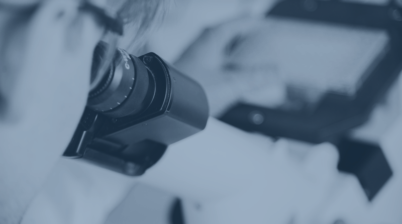 Advances in Translational Drug Discovery 2025