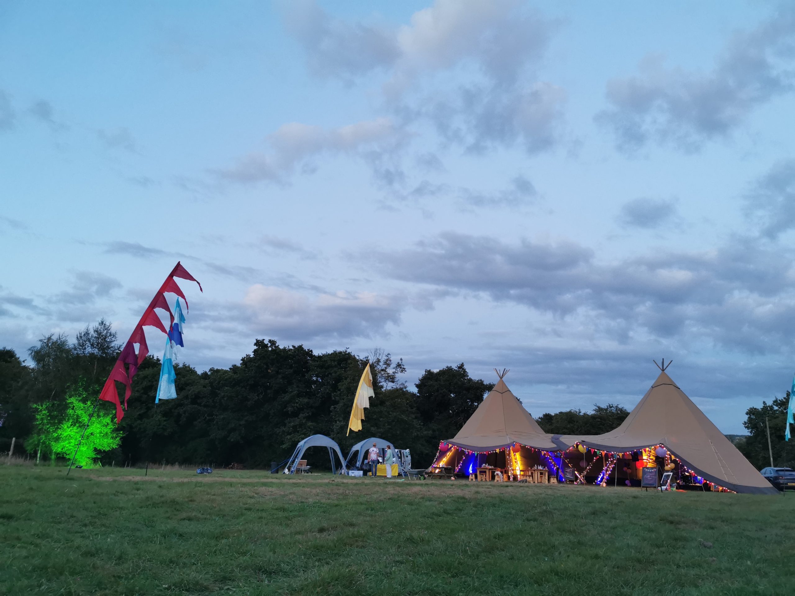 CatSci Enjoy CatFest: Image of festival banners and tents