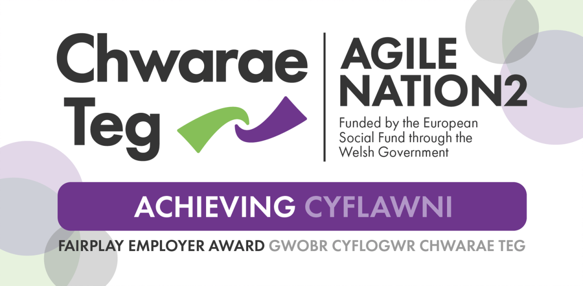 CatSci Receives Chwarae Teg’s FairPlay Employer ‘Achieving’ Award