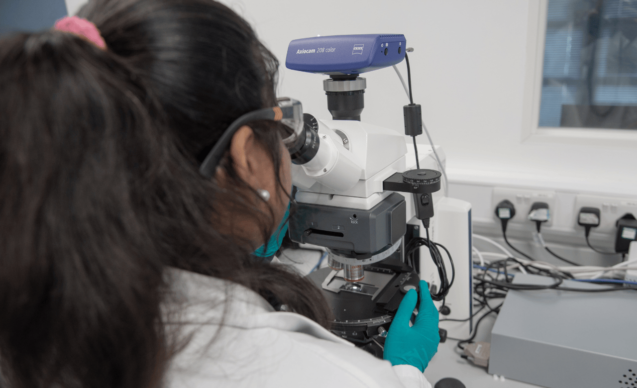 Female scientist looking in a microscope in a laboratory